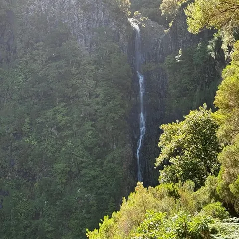 A waterfall in the laurel forest at Rabacal