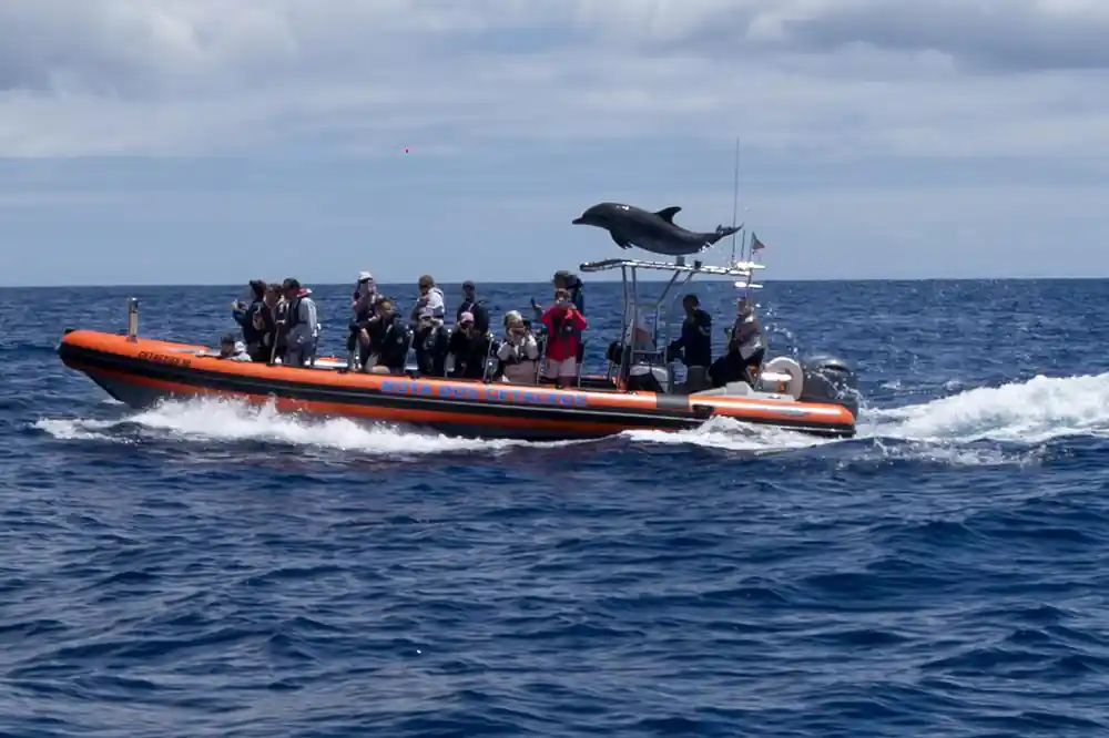 a dolphin leaping behind the orange rib as guests turn to watch