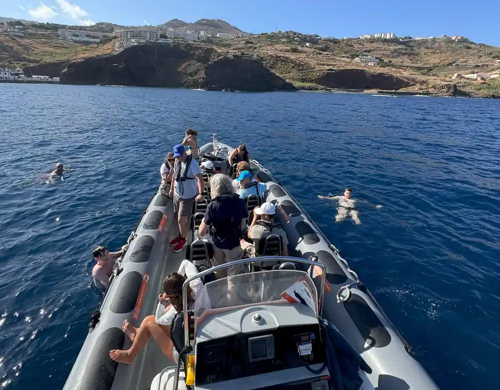 guests seated along the rib as it runs past a green headland
