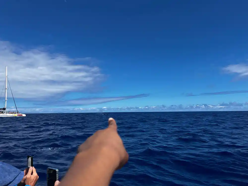 a guide pointing out towards the horizon from the moving boat