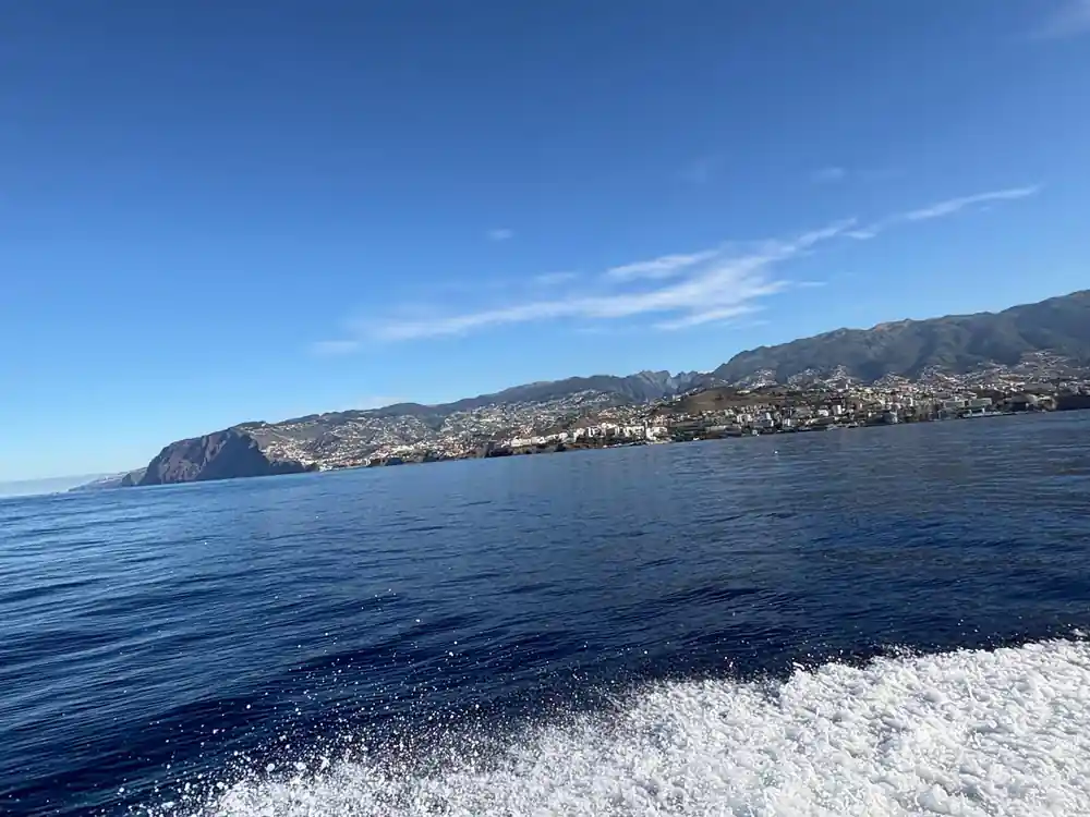 the wake of the boat with Funchal spread along the coast behind